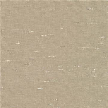 Unforgettable Khaki by Kasmir Fabric 5010 100% Polyester INDIA 25,000 Wyzenbeek Double Rubs H: N/A, V: N/A 54 - Fabric Carolina - Kasmir