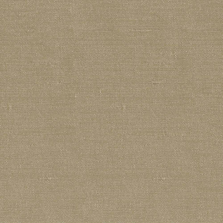 Unforgettable Latte by Kasmir Fabric 1348 INDIA 25,000 Wyzenbeek Double Rubs H: N/A, V:N/A 54 - Fabric Carolina - Kasmir