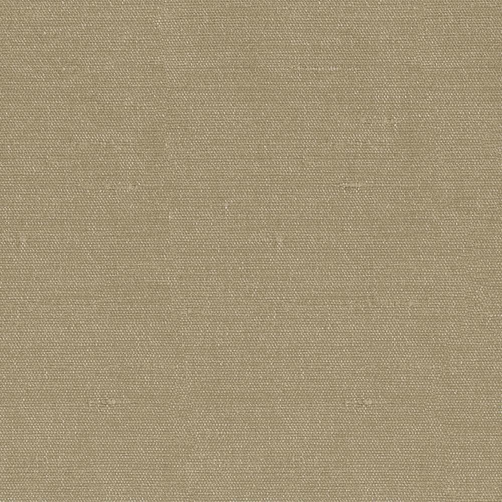 Unforgettable Latte by Kasmir Fabric 1349 100% Polyester
 INDIA 25,000 Wyzenbeek Double Rubs </p><p>Repeat: Horizontal: N/A and Vertical: N/A 54 - Fabric Carolina -