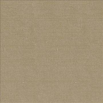 Unforgettable Latte by Kasmir Fabric 1349 100% Polyester INDIA 25,000 Wyzenbeek Double Rubs H: N/A, V: N/A 54 - Fabric Carolina - Kasmir
