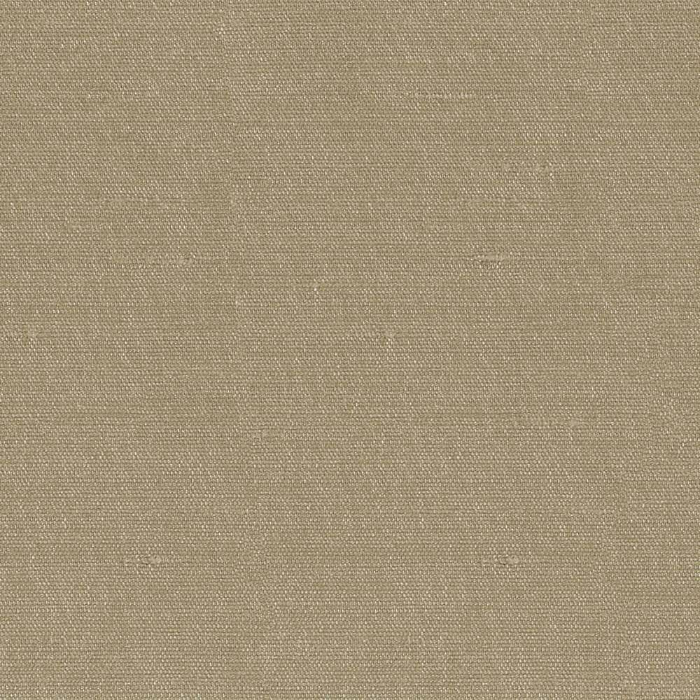 Unforgettable Latte by Kasmir Fabric 1350 INDIA 25,000 Wyzenbeek Double Rubs H: N/A, V:N/A 54 - Fabric Carolina - Kasmir