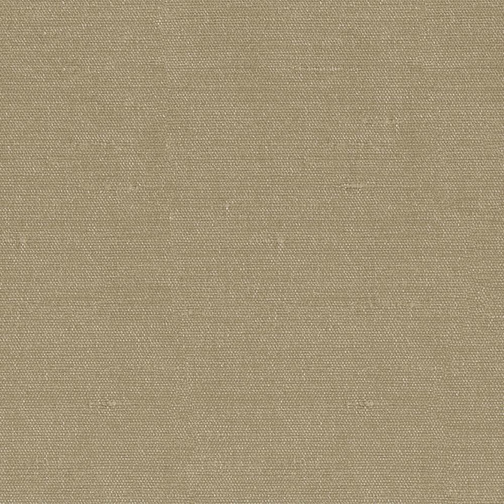 Unforgettable Latte by Kasmir Fabric 1351 100% Polyester
 INDIA 25,000 Wyzenbeek Double Rubs Horizontal: N/A and Vertical: N/A 54 - Fabric Carolina -