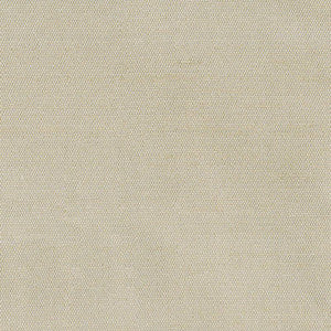 Unforgettable Linen by Kasmir Fabric