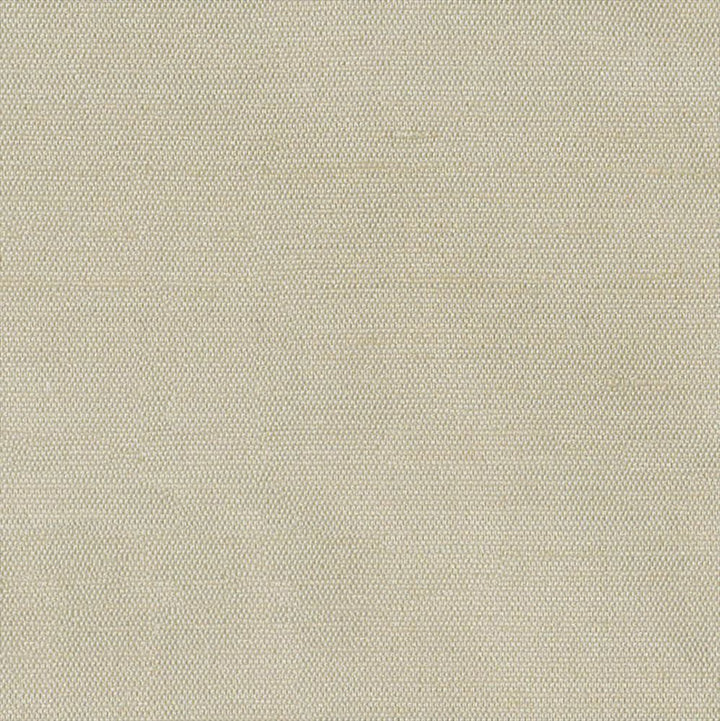 Unforgettable Linen by Kasmir Fabric 1347 100% Polyester
 INDIA </p><p>Repeat: Horizontal: N/A and Vertical: N/A 54 - Fabric Carolina -