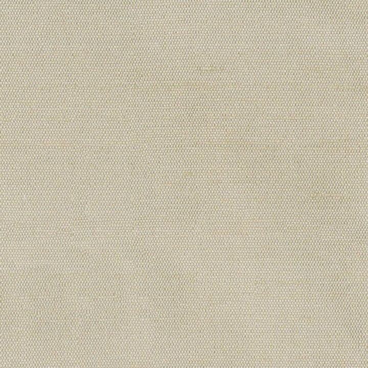 Unforgettable Linen by Kasmir Fabric 1350 INDIA 25,000 Wyzenbeek Double Rubs H: N/A, V:N/A 54 - Fabric Carolina - Kasmir
