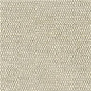 Unforgettable Linen by Kasmir Fabric 5010 100% Polyester INDIA 25,000 Wyzenbeek Double Rubs H: N/A, V: N/A 54 - Fabric Carolina - Kasmir