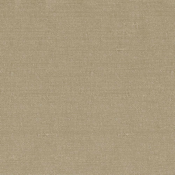 Unforgettable Malt  by Kasmir Fabric See sample 100% Polyester
 INDIA 25,000 Wyzenbeek Double Rubs </p><p>Repeat: Horizontal: N/A and Vertical: N/A 54  - Fabric Carolina -