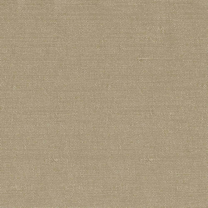 Unforgettable Malt by Kasmir Fabric 1350 INDIA 25,000 Wyzenbeek Double Rubs H: N/A, V:N/A 54 - Fabric Carolina - Kasmir