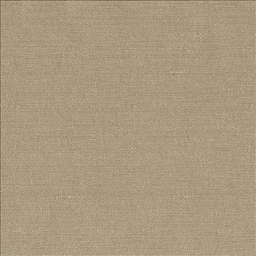 Unforgettable Malt by Kasmir Fabric 1347 100% Polyester INDIA 25,000 Wyzenbeek Double Rubs H: N/A, V: N/A 54 - Fabric Carolina - Kasmir