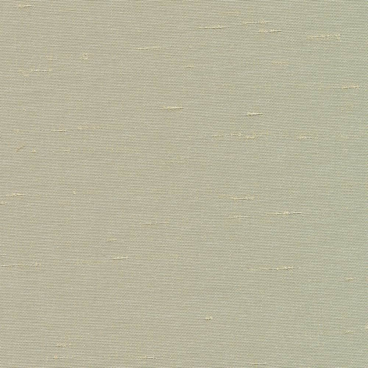 Unforgettable Mist by Kasmir Fabric 5010 100% Polyester
 INDIA 25,000 Wyzenbeek Double Rubs Horizontal: N/A and Vertical: N/A 54 - Fabric Carolina -