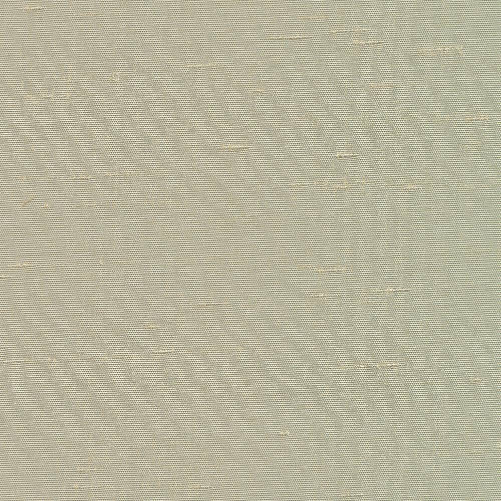 Unforgettable Mist by Kasmir Fabric 5010 INDIA 25,000 Wyzenbeek Double Rubs H: N/A, V:N/A 54 - Fabric Carolina - Kasmir