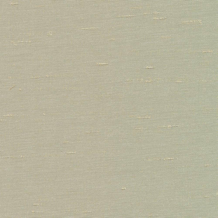 Unforgettable Mist by Kasmir Fabric 5010 INDIA 25,000 Wyzenbeek Double Rubs H: N/A, V:N/A 54 - Fabric Carolina - Kasmir
