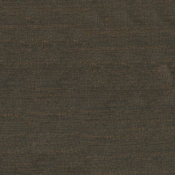 Unforgettable Mocha by Kasmir Fabric 1351 100% Polyester
 INDIA 25,000 Wyzenbeek Double Rubs </p><p>Repeat: Horizontal: N/A and Vertical: N/A 54 - Fabric Carolina -