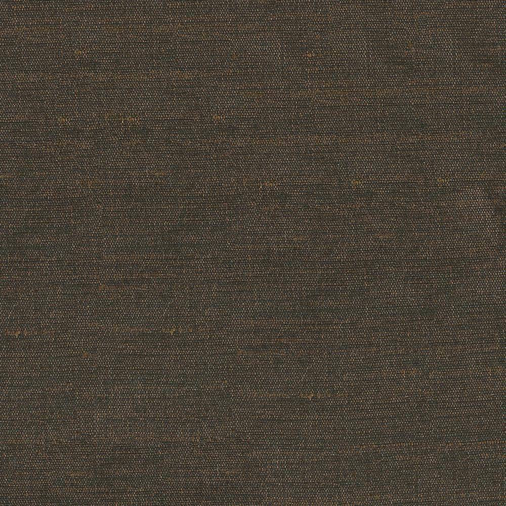 Unforgettable Mocha by Kasmir Fabric 1350 INDIA 25,000 Wyzenbeek Double Rubs H: N/A, V:N/A 54 - Fabric Carolina - Kasmir