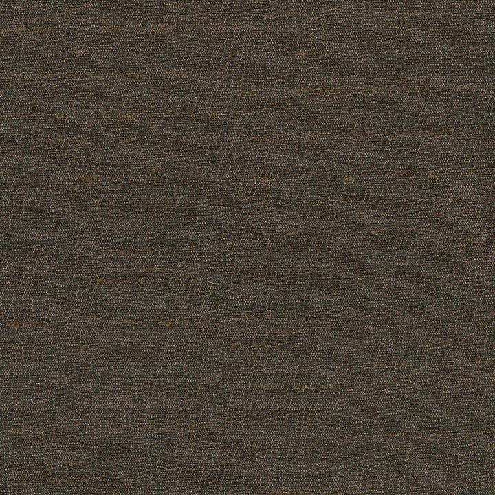 Unforgettable Mocha by Kasmir Fabric 1349 INDIA 25,000 Wyzenbeek Double Rubs H: N/A, V:N/A 54 - Fabric Carolina - Kasmir
