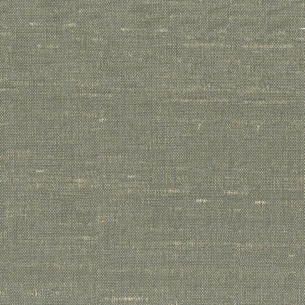 Unforgettable Moonlight by Kasmir Fabric 1348 100% Polyester
 INDIA 25,000 Wyzenbeek Double Rubs Horizontal: N/A and Vertical: N/A 54 - Fabric Carolina -
