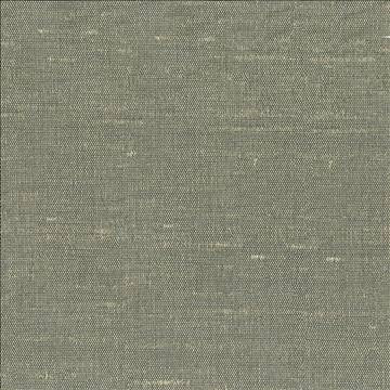 Unforgettable Moonlight by Kasmir Fabric 1351 100% Polyester INDIA 25,000 Wyzenbeek Double Rubs H: N/A, V: N/A 54 - Fabric Carolina - Kasmir