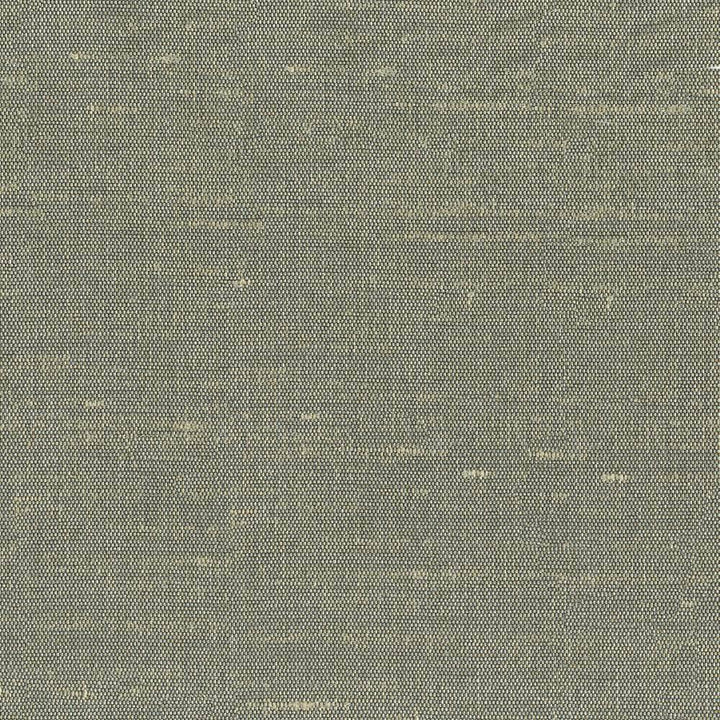 Unforgettable Moonlight by Kasmir Fabric 1349 INDIA 25,000 Wyzenbeek Double Rubs H: N/A, V:N/A 54 - Fabric Carolina - Kasmir