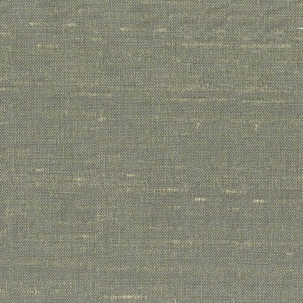 Unforgettable Moonlight by Kasmir Fabric 1348 INDIA 25,000 Wyzenbeek Double Rubs H: N/A, V:N/A 54 - Fabric Carolina - Kasmir