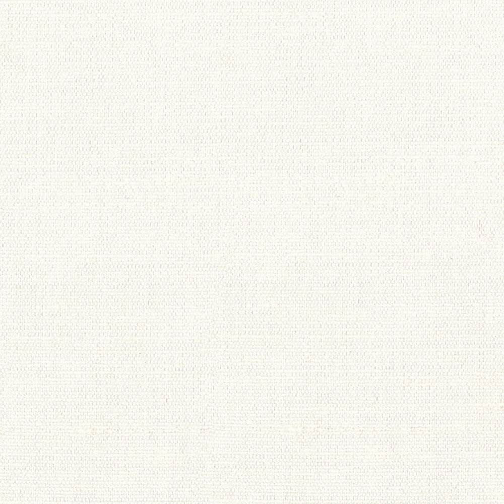 Unforgettable Oyster by Kasmir Fabric 1348 100% Polyester
 INDIA 25,000 Wyzenbeek Double Rubs Horizontal: N/A and Vertical: N/A 54 - Fabric Carolina -
