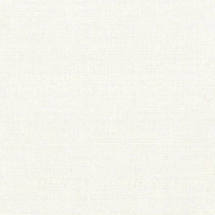 Unforgettable Oyster by Kasmir Fabric 1350 INDIA 25,000 Wyzenbeek Double Rubs H: N/A, V:N/A 54 - Fabric Carolina - Kasmir