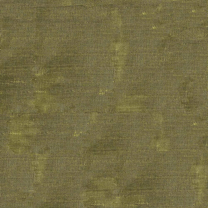 Unforgettable Pear by Kasmir Fabric 1350 INDIA 25,000 Wyzenbeek Double Rubs H: N/A, V:N/A 54 - Fabric Carolina - Kasmir