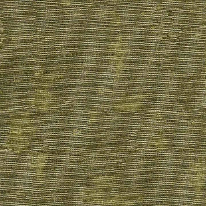 Unforgettable Pear by Kasmir Fabric 1348 100% Polyester INDIA 25,000 Wyzenbeek Double Rubs Horizontal: 0 Inches and Vertical: 0 Inches 54 - Fabric Carolina -