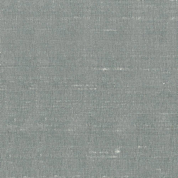 Unforgettable Pewter by Kasmir Fabric 1351 INDIA 25,000 Wyzenbeek Double Rubs H: N/A, V:N/A 54 - Fabric Carolina - Kasmir