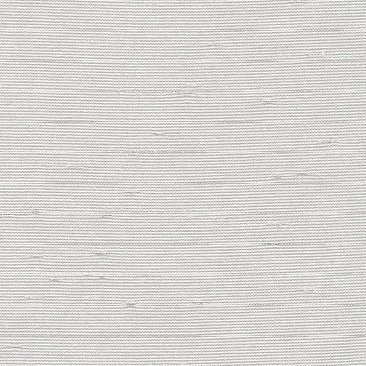 Unforgettable Platinum  by Kasmir Fabric See sample 100% Polyester
 INDIA 25,000 Wyzenbeek Double Rubs </p><p>Repeat: Horizontal: N/A and Vertical: N/A 54  - Fabric Carolina -