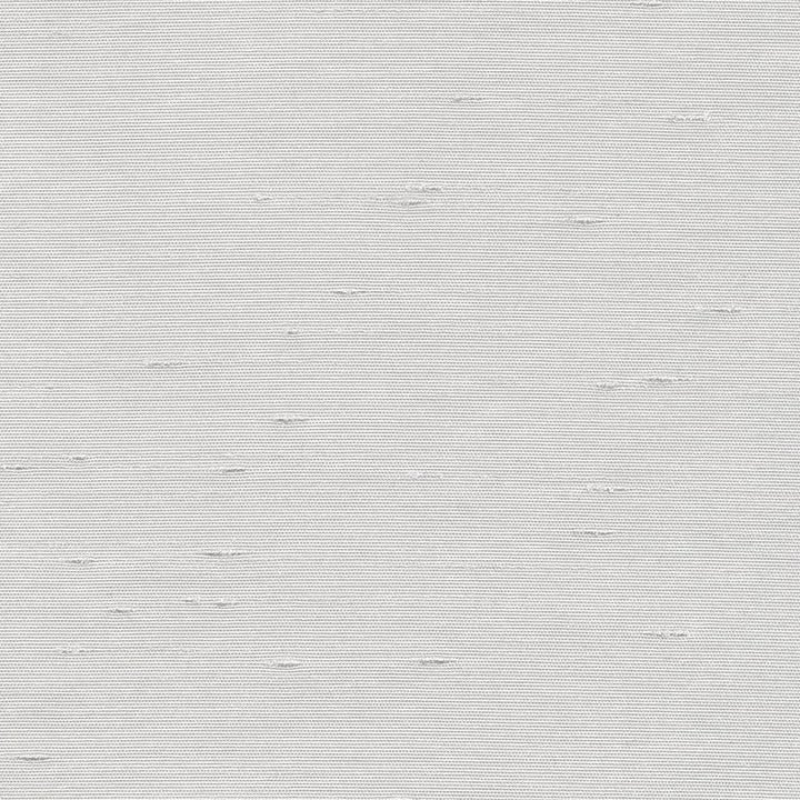 Unforgettable Platinum by Kasmir Fabric 5010 INDIA 25,000 Wyzenbeek Double Rubs H: N/A, V:N/A 54 - Fabric Carolina - Kasmir