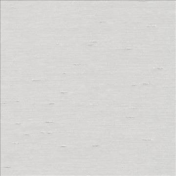 Unforgettable Platinum by Kasmir Fabric 5010 100% Polyester INDIA 25,000 Wyzenbeek Double Rubs H: N/A, V: N/A 54 - Fabric Carolina - Kasmir