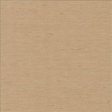 Unforgettable Sand by Kasmir Fabric 5010 100% Polyester INDIA 25,000 Wyzenbeek Double Rubs H: N/A, V: N/A 54 - Fabric Carolina - Kasmir