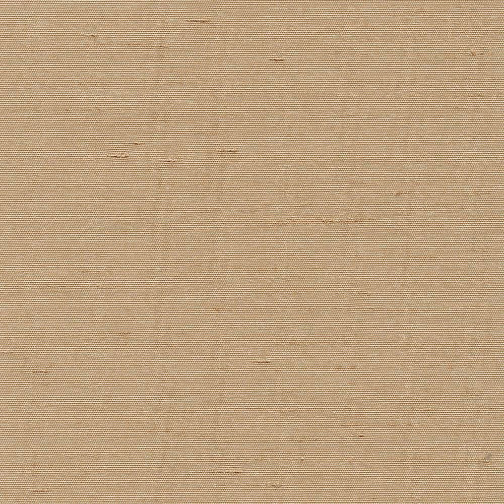 Unforgettable Sand by Kasmir Fabric 5010 100% Polyester
 INDIA 25,000 Wyzenbeek Double Rubs Horizontal: N/A and Vertical: N/A 54 - Fabric Carolina -