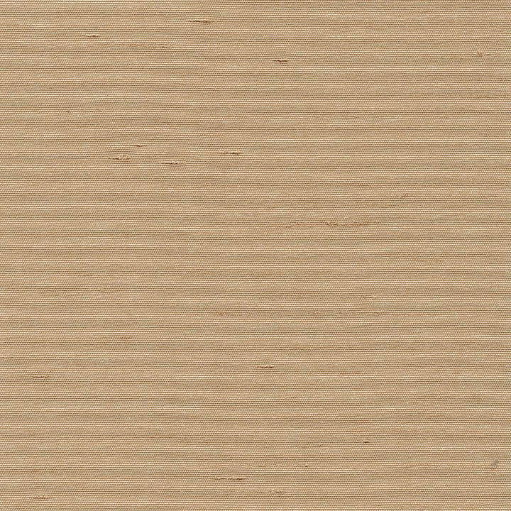 Unforgettable Sand by Kasmir Fabric 5010 100% Polyester INDIA 25,000 Wyzenbeek Double Rubs Horizontal: 0 Inches and Vertical: 0 Inches 54 - Fabric Carolina -