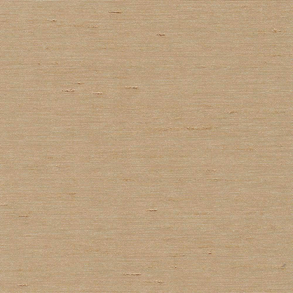 Unforgettable Sand by Kasmir Fabric 5010 INDIA 25,000 Wyzenbeek Double Rubs H: N/A, V:N/A 54 - Fabric Carolina - Kasmir