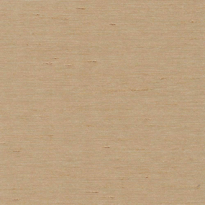 Unforgettable Sand by Kasmir Fabric 5010 INDIA 25,000 Wyzenbeek Double Rubs H: N/A, V:N/A 54 - Fabric Carolina - Kasmir