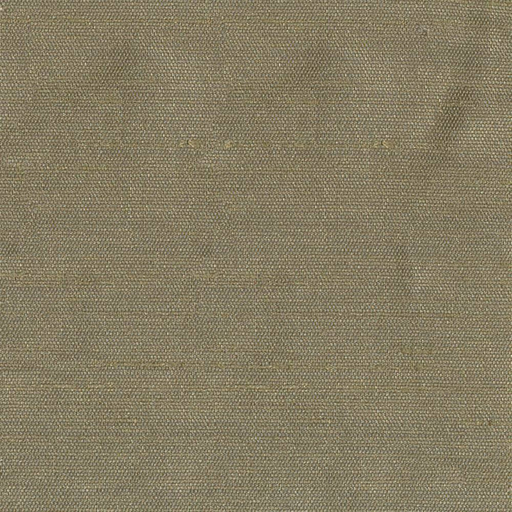 Unforgettable Smoke by Kasmir Fabric 1350 INDIA 25,000 Wyzenbeek Double Rubs H: N/A, V:N/A 54 - Fabric Carolina - Kasmir