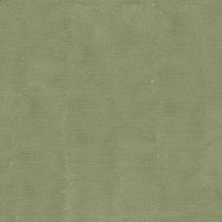 Unforgettable Spruce by Kasmir Fabric 5010 100% Polyester
 INDIA 25,000 Wyzenbeek Double Rubs Horizontal: N/A and Vertical: N/A 54 - Fabric Carolina -