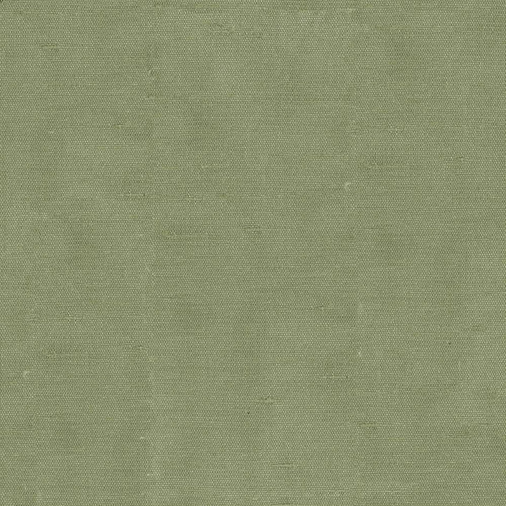 Unforgettable Spruce by Kasmir Fabric 1351 INDIA 25,000 Wyzenbeek Double Rubs H: N/A, V:N/A 54 - Fabric Carolina - Kasmir