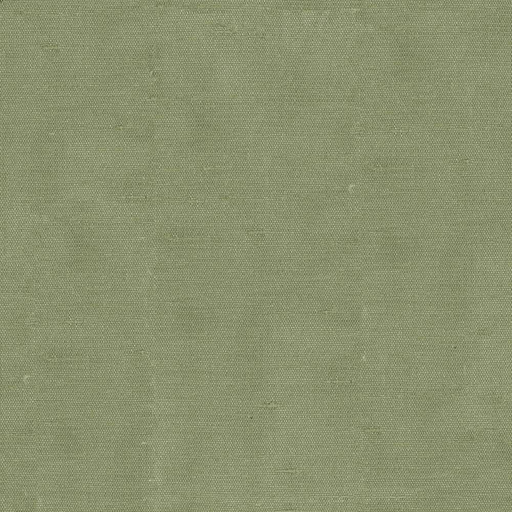 Unforgettable Spruce by Kasmir Fabric 1350 INDIA 25,000 Wyzenbeek Double Rubs H: N/A, V:N/A 54 - Fabric Carolina - Kasmir