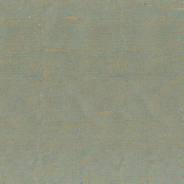 Unforgettable Stone by Kasmir Fabric 1347 100% Polyester
 INDIA 25,000 Wyzenbeek Double Rubs Horizontal: N/A and Vertical: N/A 54 - Fabric Carolina -
