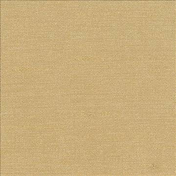 Unforgettable Tan by Kasmir Fabric 1347 100% Polyester INDIA 25,000 Wyzenbeek Double Rubs H: N/A, V: N/A 54 - Fabric Carolina - Kasmir