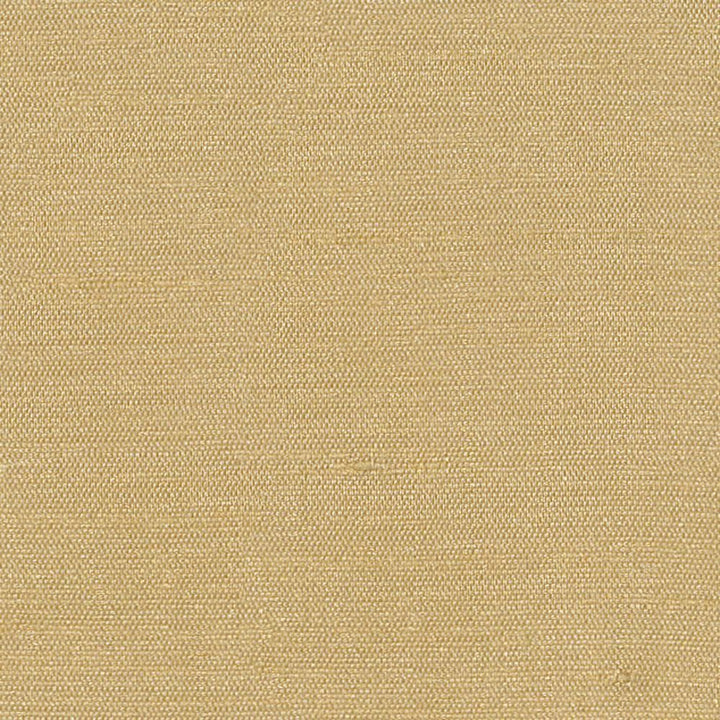 Unforgettable Tan by Kasmir Fabric 1347 100% Polyester
 INDIA 25,000 Wyzenbeek Double Rubs </p><p>Repeat: Horizontal: N/A and Vertical: N/A 54 - Fabric Carolina -