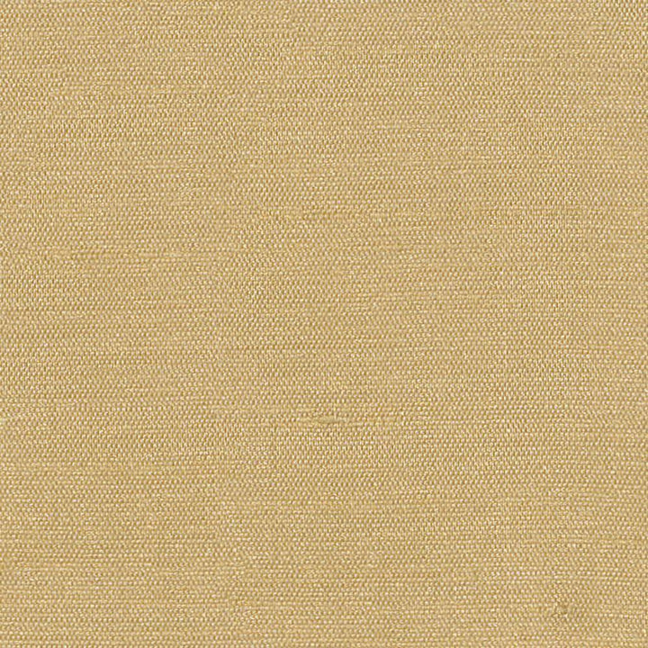 Unforgettable Tan by Kasmir Fabric 1348 INDIA 25,000 Wyzenbeek Double Rubs H: N/A, V:N/A 54 - Fabric Carolina - Kasmir