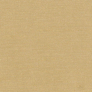 Unforgettable Tan by Kasmir Fabric