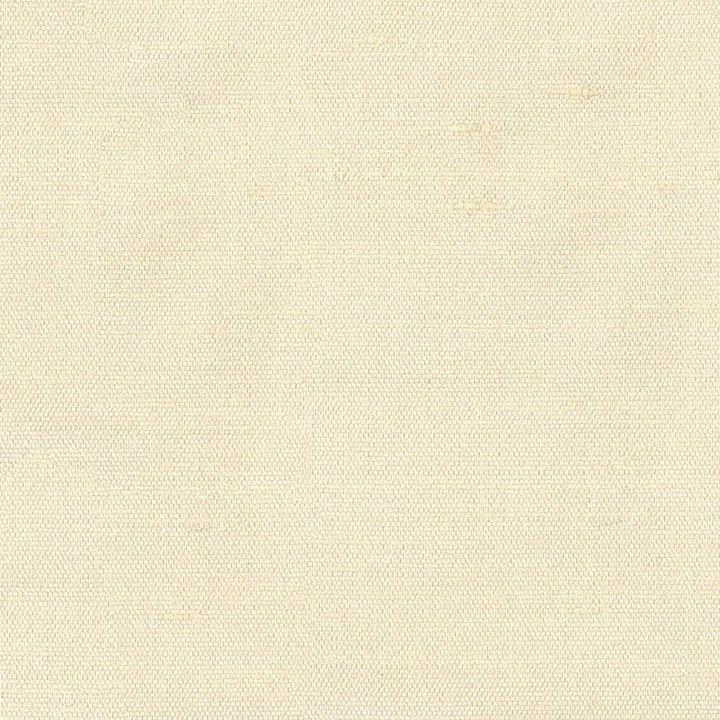 Unforgettable Vanilla by Kasmir Fabric 1351 INDIA 25,000 Wyzenbeek Double Rubs H: N/A, V:N/A 54 - Fabric Carolina - Kasmir
