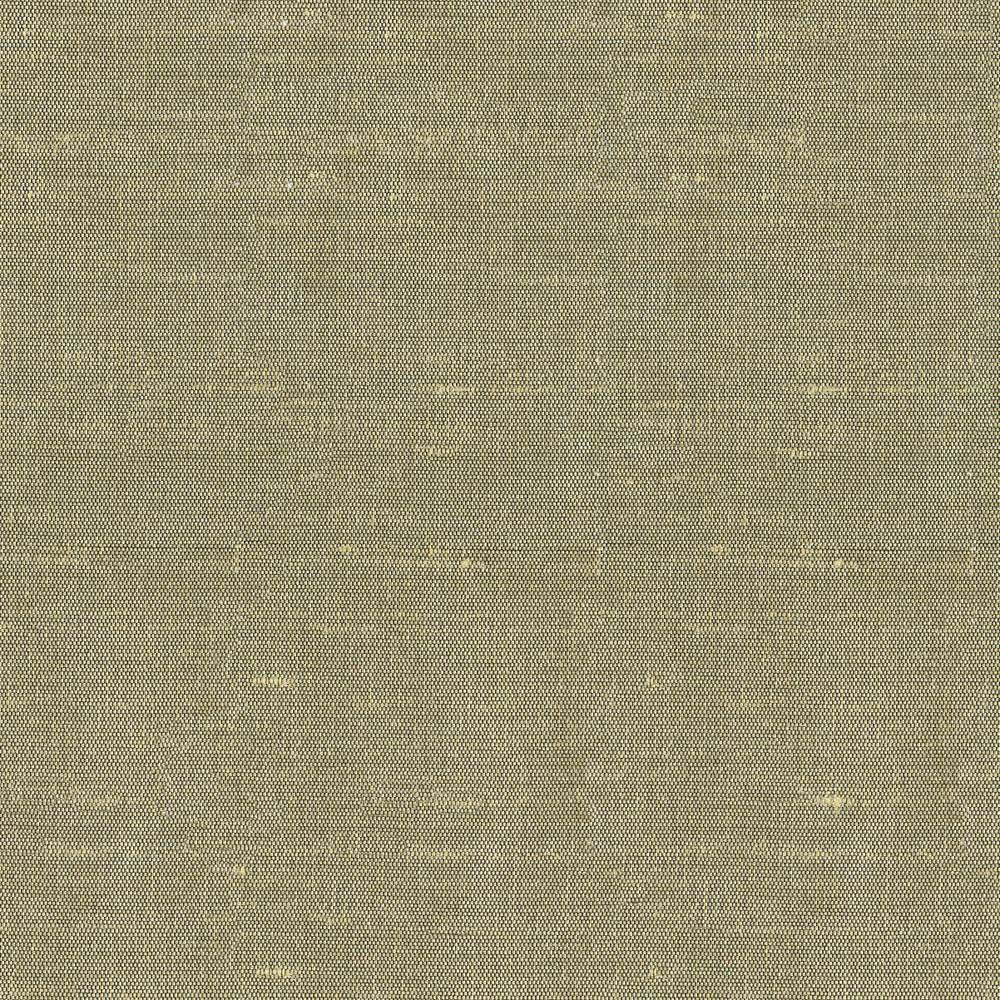Unforgettable Willow by Kasmir Fabric 5010 INDIA 25,000 Wyzenbeek Double Rubs H: N/A, V:N/A 54 - Fabric Carolina - Kasmir