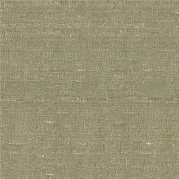 Unforgettable Willow by Kasmir Fabric 5010 100% Polyester INDIA 25,000 Wyzenbeek Double Rubs H: N/A, V: N/A 54 - Fabric Carolina - Kasmir