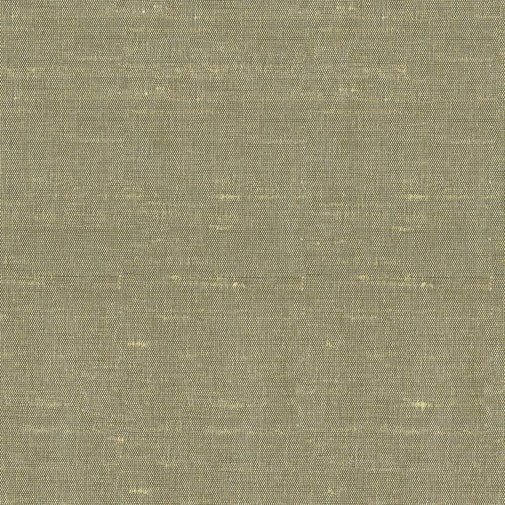 Unforgettable Willow by Kasmir Fabric 1347 INDIA 25,000 Wyzenbeek Double Rubs H: N/A, V:N/A 54 - Fabric Carolina - Kasmir