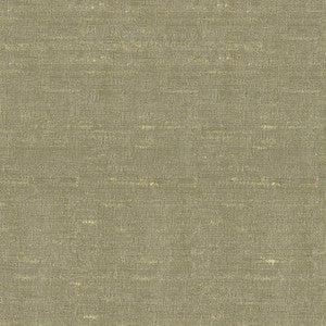 Unforgettable Willow by Kasmir Fabric